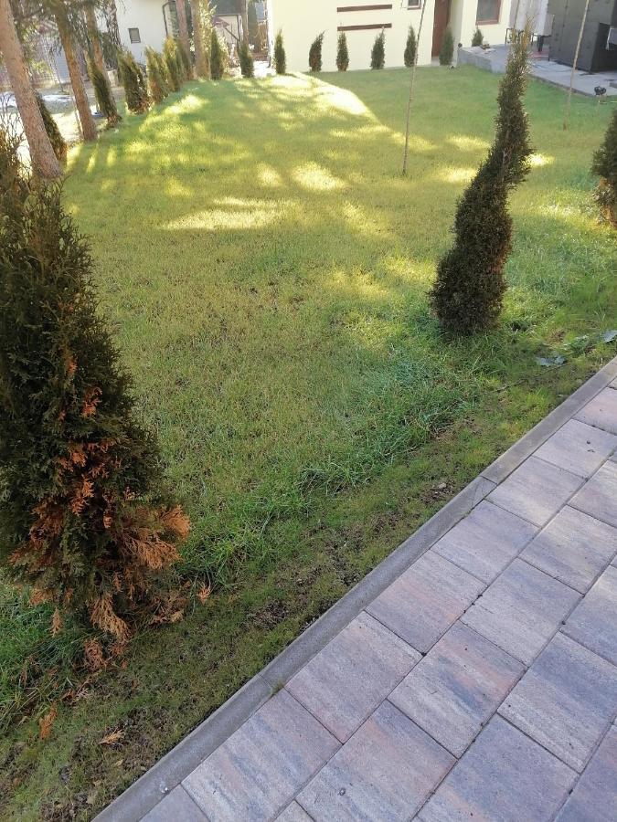 Forest Andrijana Apartment Zlatibor Exterior photo